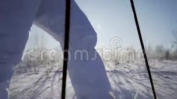 在滑雪上行走的女人视频的预览图