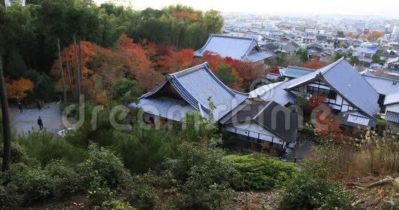 京都坂育区恩口寺传统公园的红叶视频的预览图