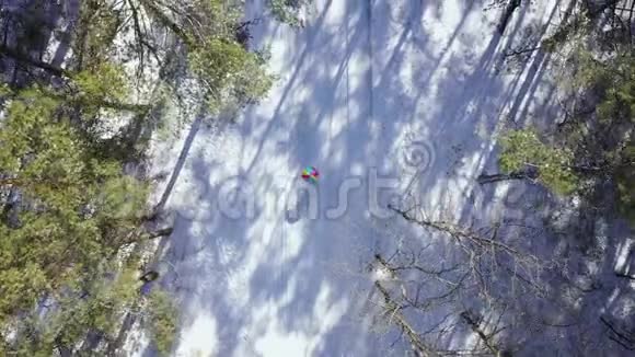 从高处看一个人在彩虹伞下在冬天沿着树间的道路行走视频的预览图