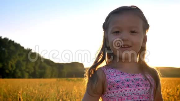 亚洲小女孩夏天白天在田里散步玩花大自然的概念视频的预览图
