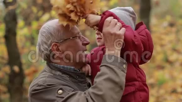 爷爷和蹒跚学步的男孩在秋天公园休息视频的预览图