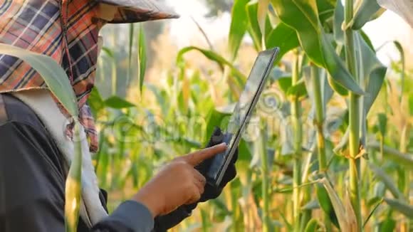 农民利用技术帮助记录农业信息视频的预览图