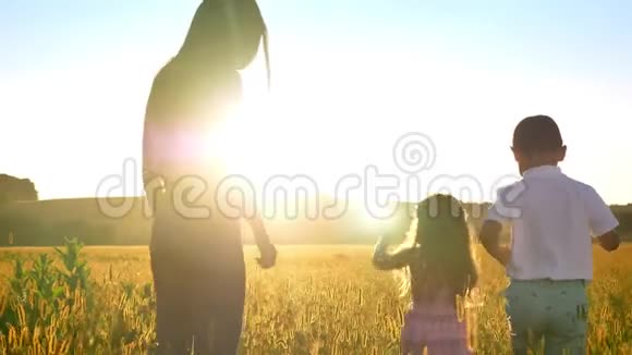 母亲带着孩子的剪影在夏天的田野里阳光下漫步家庭观念视频的预览图