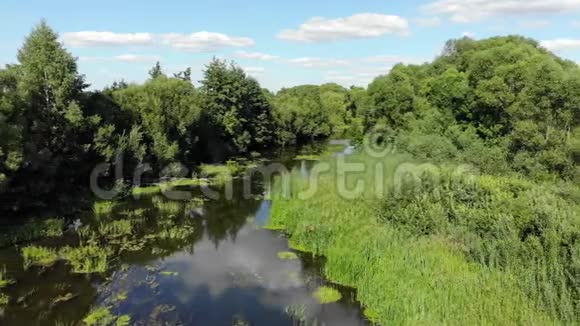 在俄罗斯的夏天在一条小河边移动视频的预览图