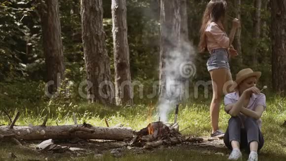 两个年轻女孩的女朋友晚上在森林里的火上烤着甜棉花糖一群露营的朋友视频的预览图