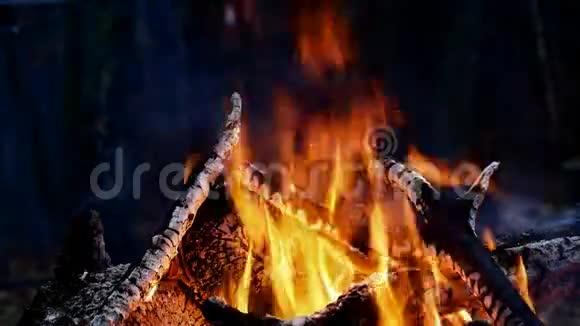 篝火晚会的特写在晚上用热余烬和红煤点燃视频的预览图