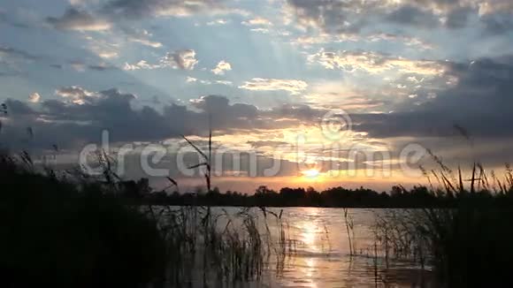 在湖边黎明视频的预览图