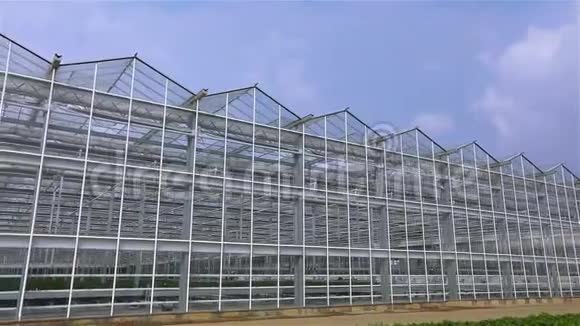 大玻璃温室的全景外观现代温室玻璃温室的外观视频的预览图