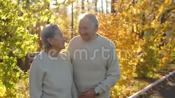 在一个美丽的秋天环境中一对老夫妇在公园里拥抱和微笑着慢镜头视频的预览图