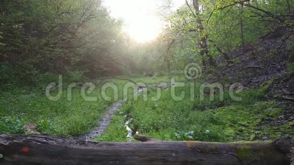 泥泞的道路在农村小路的森林与小溪视频的预览图