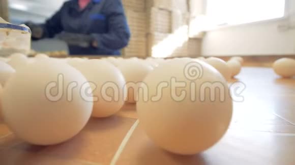 工人分拣多个鸡蛋特写视频的预览图