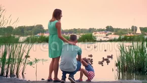 年轻家庭的剪影是夏天在公园里散步日落在湖上看鸭子自然概念放松概念视频的预览图