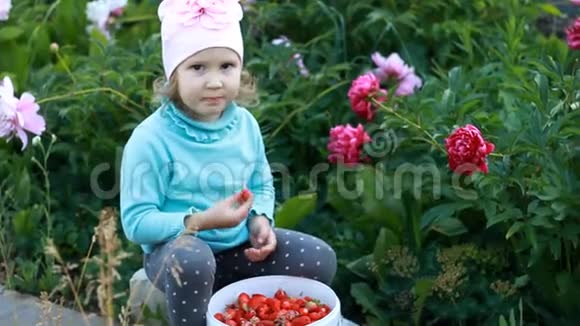 小女孩吃收获的草莓作物宝贝展示了浆果的酸味视频的预览图