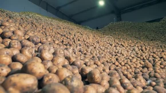 一个装满土豆的大储藏室关门了视频的预览图
