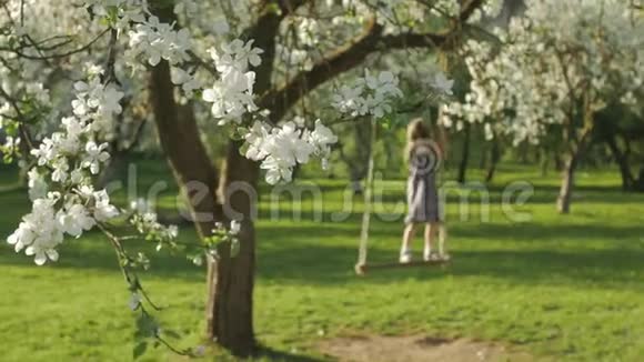 不可辨认的小女孩享受着自由的时光在一个盛开的苹果树花园里的木制秋千椅上摇曳着视频的预览图