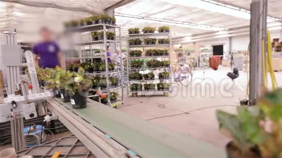 花盆上贴纸的过程在工厂标记货物视频的预览图