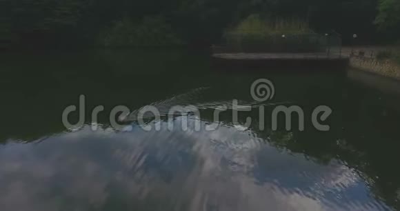 空中照相机鸭子漂浮在湖中湖中映出美丽的密林和无边无际的蓝天视频的预览图