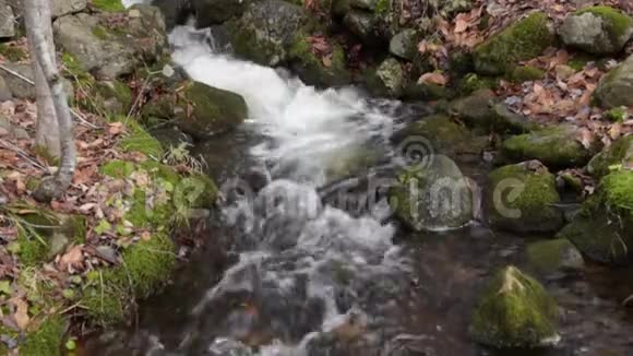 秋天清澈的山涧视频的预览图
