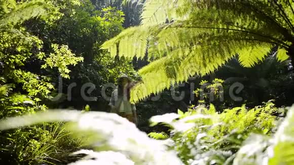 在丛林里散步的漂亮女孩视频的预览图