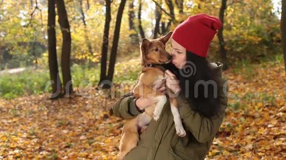 秋天公园里女人和狗的温柔景象视频的预览图