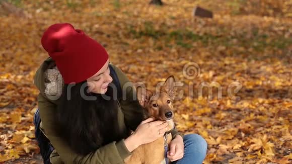 黄色树叶中的女孩和可爱的狗的肖像视频的预览图