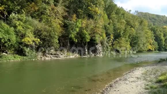 山河石岩间秋林视频的预览图
