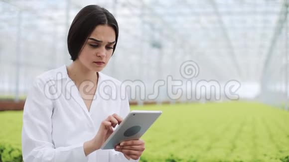 农业工程师穿着白大褂用平板电脑测试的健康状况并分析数据视频的预览图