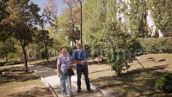 老年退休和人的概念快乐的老年夫妇漫步在夏季城市公园视频的预览图
