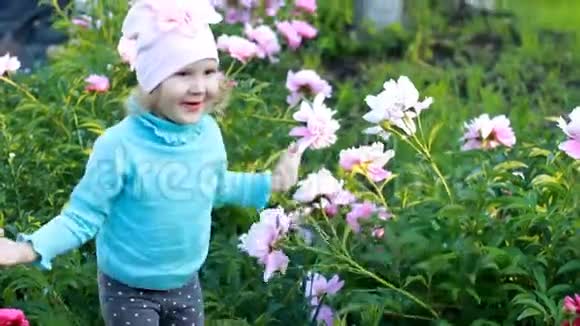 小女孩正在花园里玩牡丹幸福宝宝用手捂脸藏在牡丹里视频的预览图
