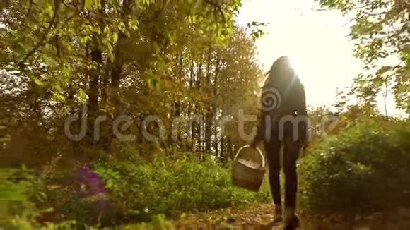 年轻的女人拿着野餐篮穿过秋天的森林慢动作安定夹视频的预览图