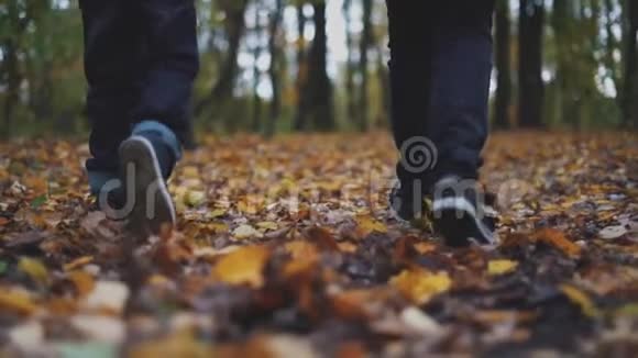 兄弟两个男孩正走在森林里的秋叶上视频的预览图