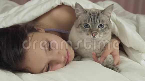 快乐少女亲吻与泰国猫在床上交谈库存视频视频的预览图