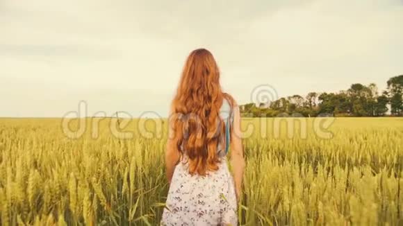 年轻女子穿着漂亮的裙子穿过黄田抚摸着小麦视频的预览图