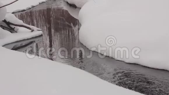 树木反映在不结冰的溪流表面视频的预览图