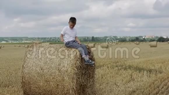 孩子在一片田野上对抗稻草视频的预览图