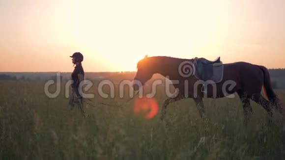 女骑手带领一匹马穿过田野侧视视频的预览图