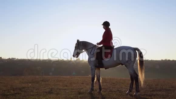 在田野中央的马背上的一片风景背景上的女马慢动作侧视图视频的预览图