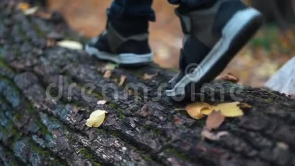 在秋天的森林里少年的脚一步一步地走在倒下的树木上关闭慢动作视频的预览图