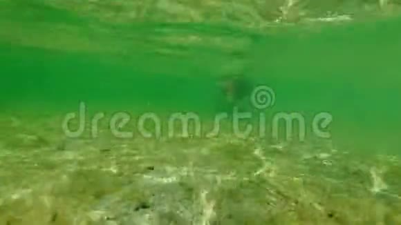 鲨鱼湾的女性呼吸暂停视频的预览图