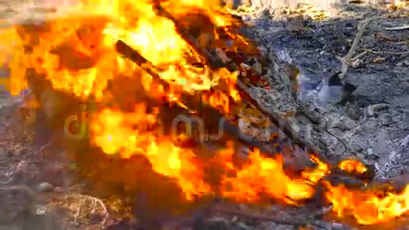 垃圾废物被火焰覆盖视频的预览图