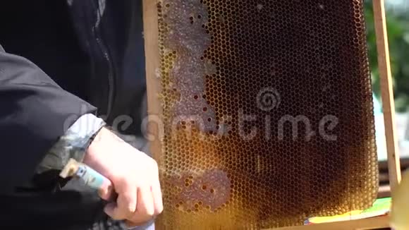 蜜蜂制造者或养蜂人在蜜蜂框架上工作清理蜂巢框架视频的预览图