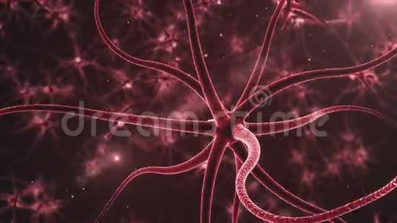 有电脉冲的神经元视频的预览图