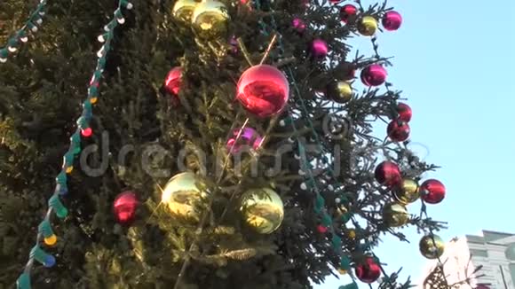 圣诞户外圣诞树有不同颜色的大玻璃球视频的预览图