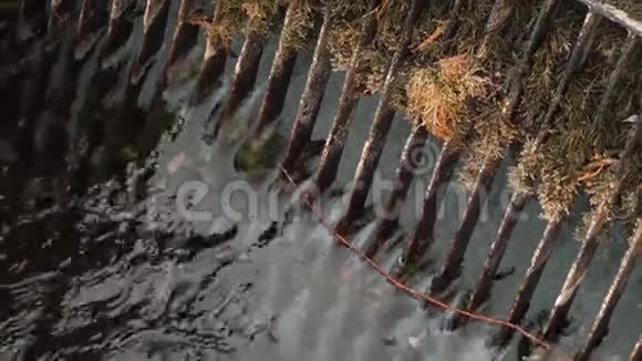 天然河坝中的河水视频的预览图