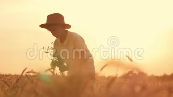 日落时在麦田里戴帽子的男孩快乐的男孩农夫带着一包小麦在田野上视频的预览图