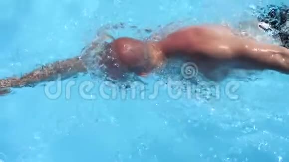 男子游泳自由泳游泳池慢动作俯视视频的预览图