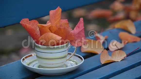 热茶杯凳秋叶视频的预览图