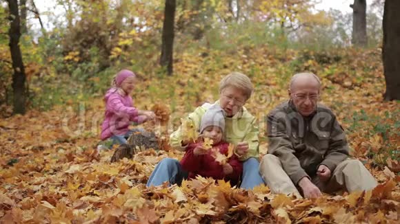 秋天欣赏金叶的四个家庭视频的预览图