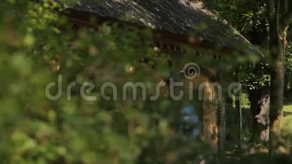 森林里的老房子视频的预览图