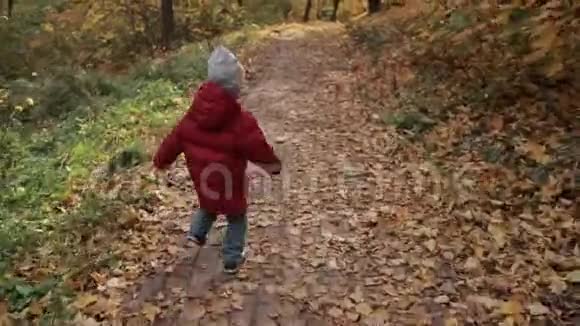 一个蹒跚学步的小男孩在五彩缤纷的秋天公园里奔跑视频的预览图
